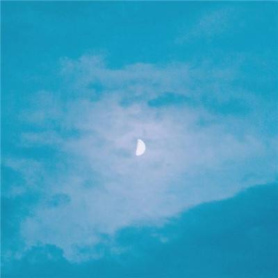 NG体育APP官方下载网址app下载